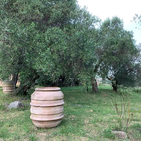 Poggialberi Apartment